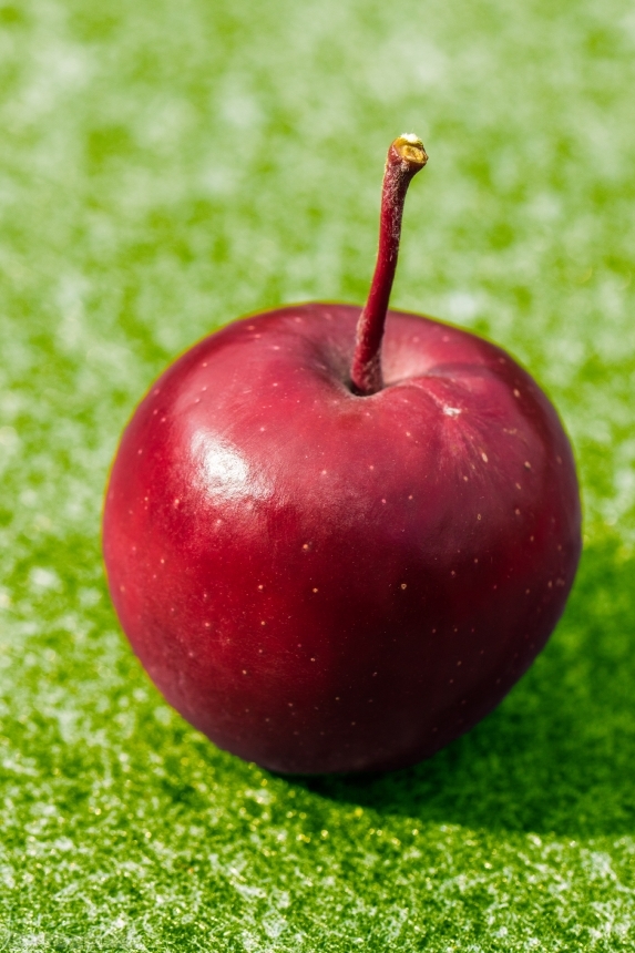 Devostock Apple Red Frisch Fruit