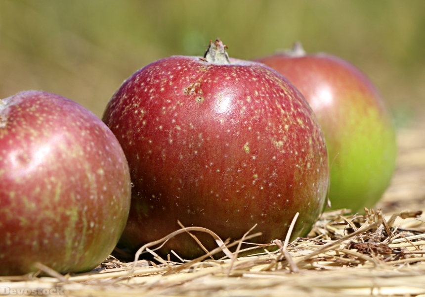 Devostock Apple Red Fruit Closeup