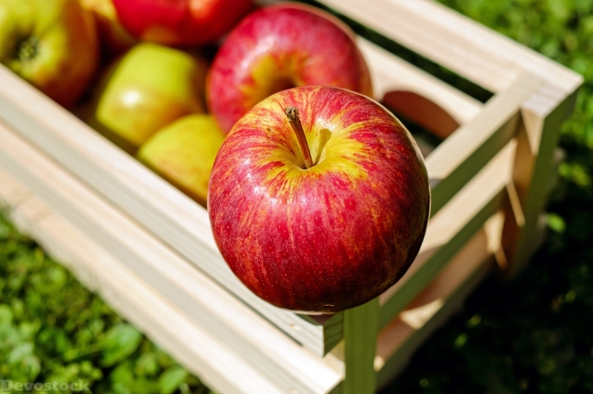 Devostock Apple Red Fruit Fruits