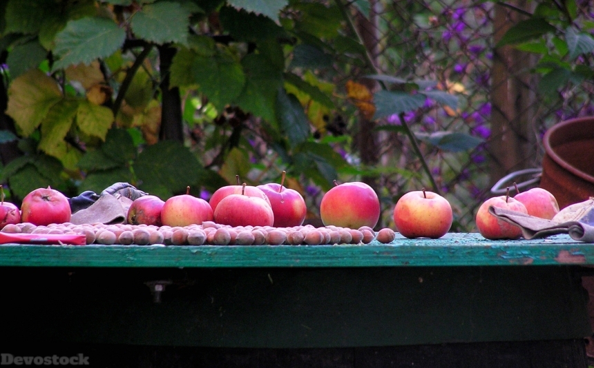 Devostock Apples Autumn Fruit Hazelnuts