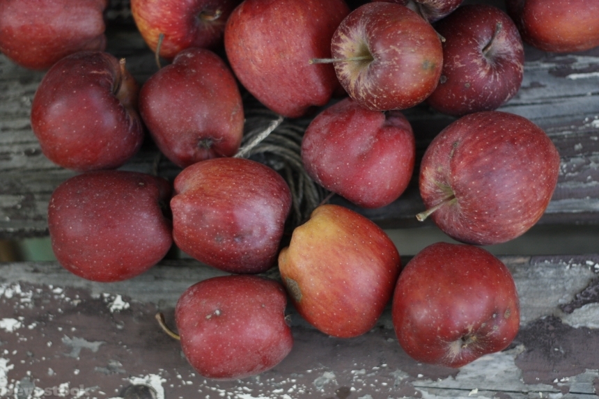 Devostock Apples Autumn Fruit Healthy 0