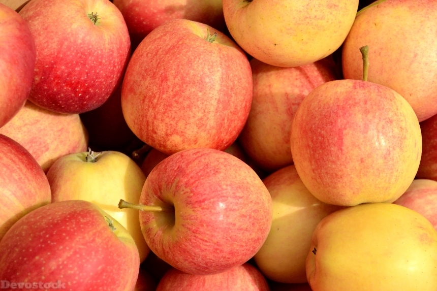 Devostock Apples Fall Harvest Fruit