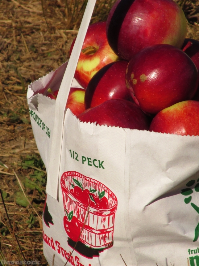Devostock Apples Fruit Food Red
