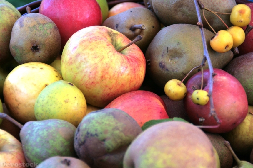 Devostock Apples Fruit Fruits Healthy 0