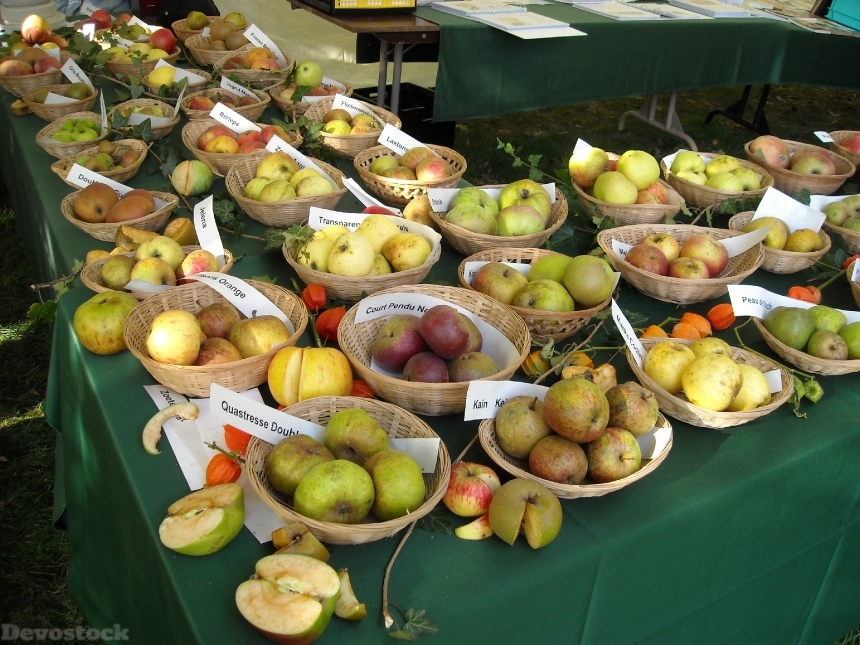 Devostock Apples Fruit Fruits Pomology 0