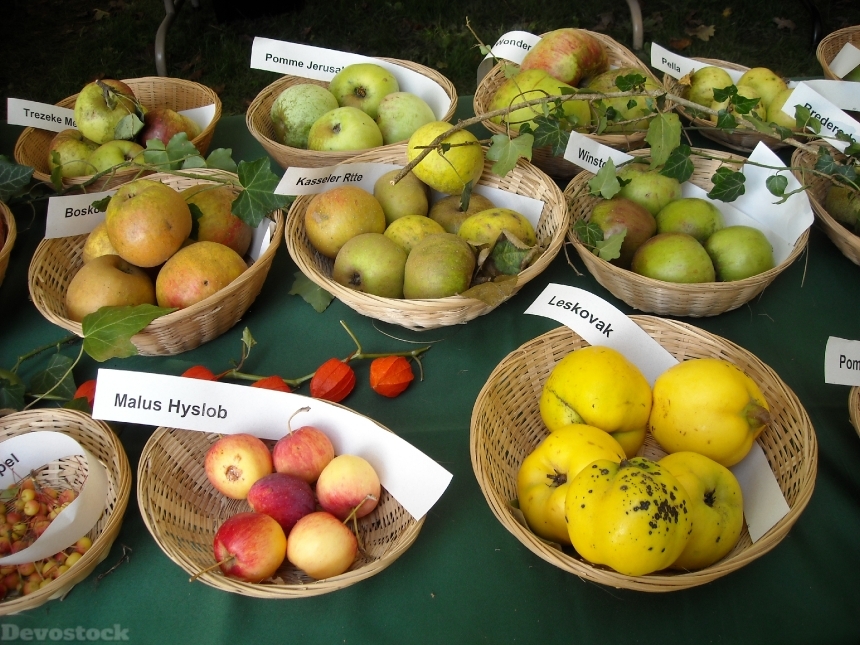 Devostock Apples Fruit Fruits Pomology