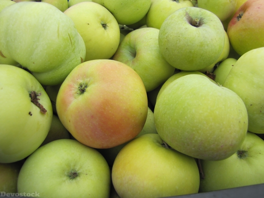 Devostock Apples Fruit Summer Nature