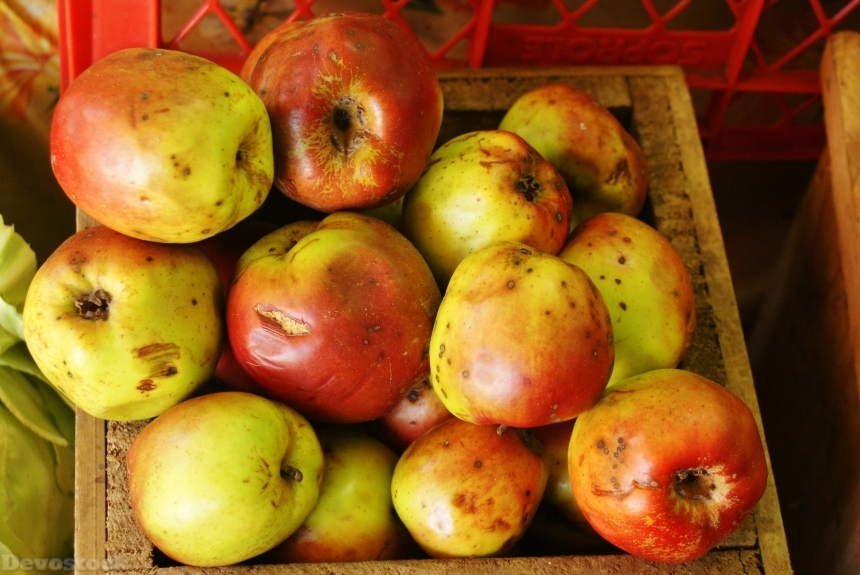 Devostock Apples Fruits Food Healthy
