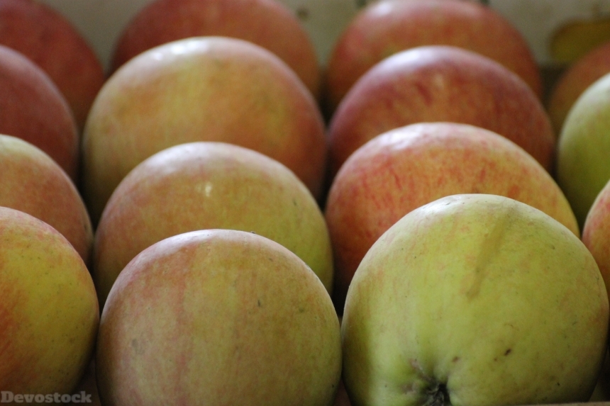 Devostock Apples Fruits Foods 587622