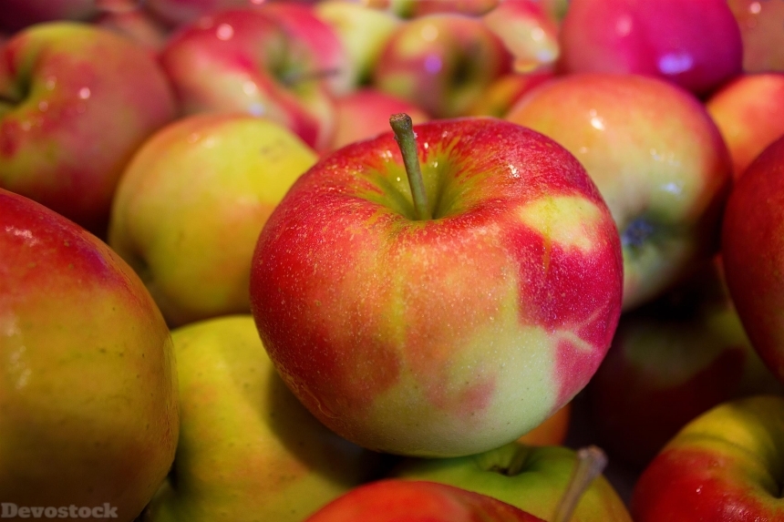 Devostock Apples Jonagold Health Improvement