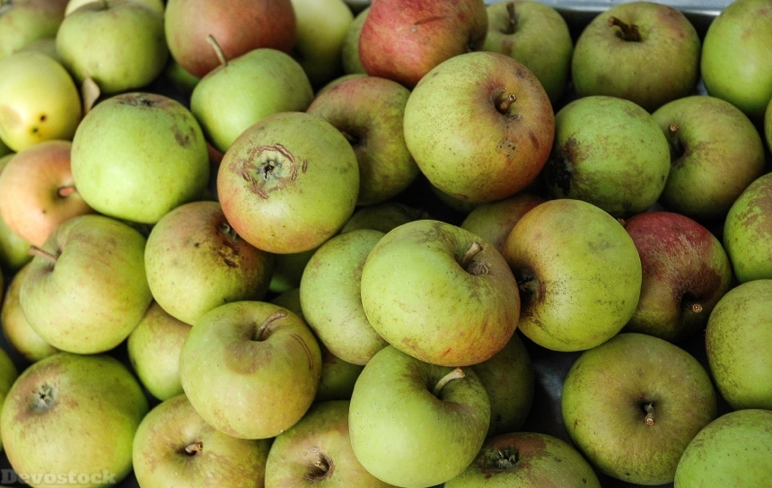 Devostock Apples Natural Food Diet