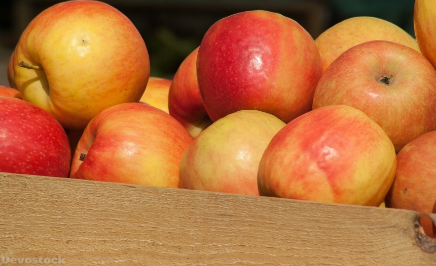 Devostock Apples Orchards Apple Market