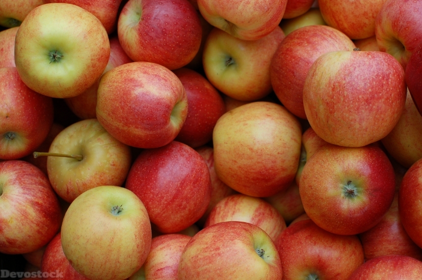 Devostock Apples Red Fruit Orchard