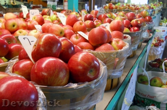 Devostock Apples Sunset Orchard Rhode