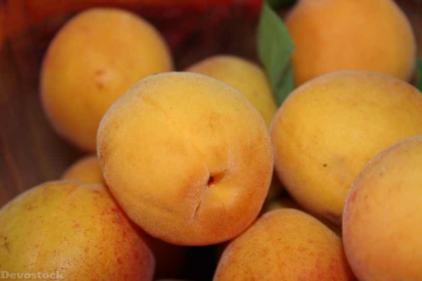Devostock Apricot Fruit Wachau Vitamins
