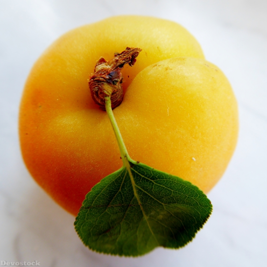 Devostock Apricot Leaf Fruit Tender