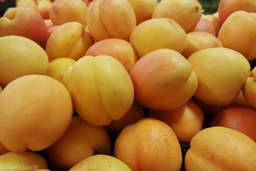 Devostock Apricots Fruit Stone Fruit