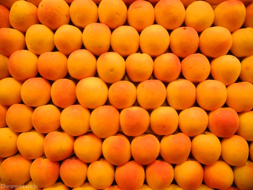 Devostock Apricots Fruits Market 771193