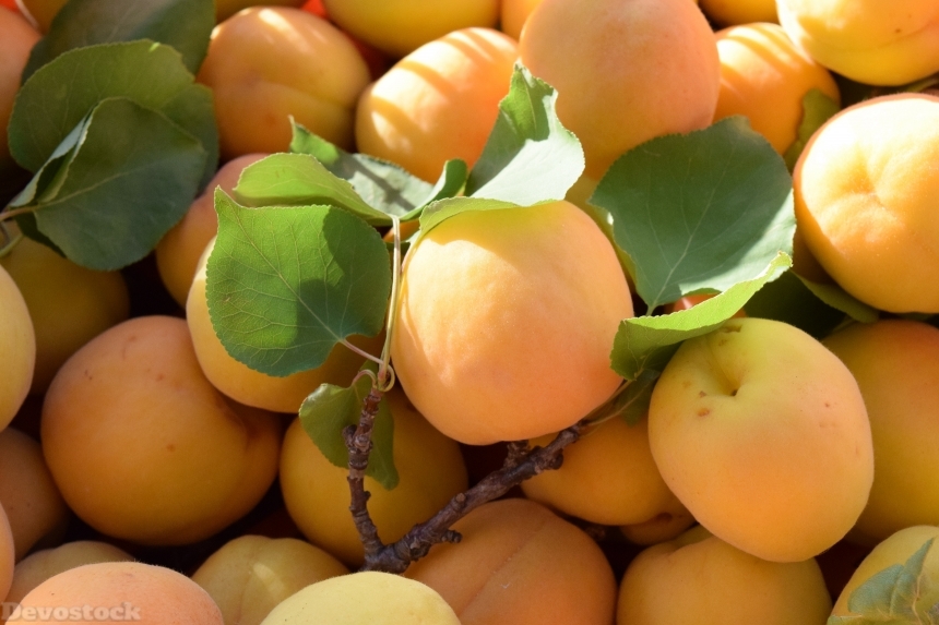 Devostock Apricots Ripe Fruit Healthy 0