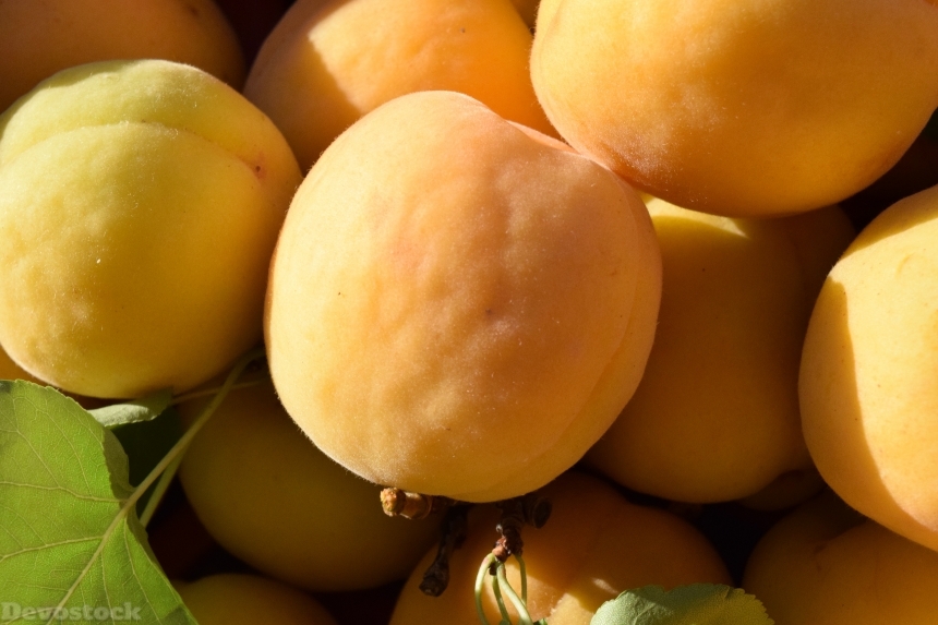 Devostock Apricots Ripe Fruit Healthy