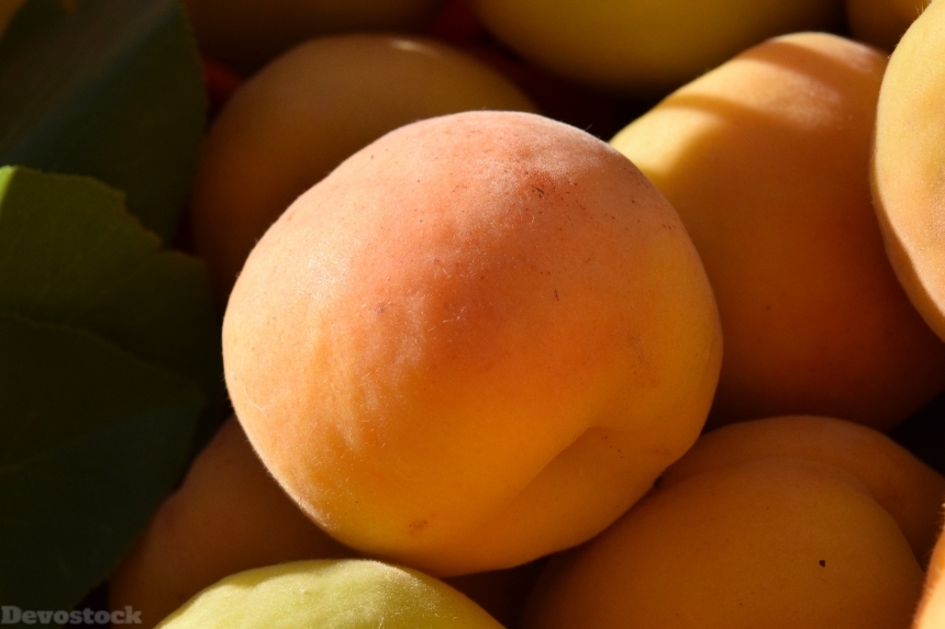 Devostock Apricots Ripe Fruit Light