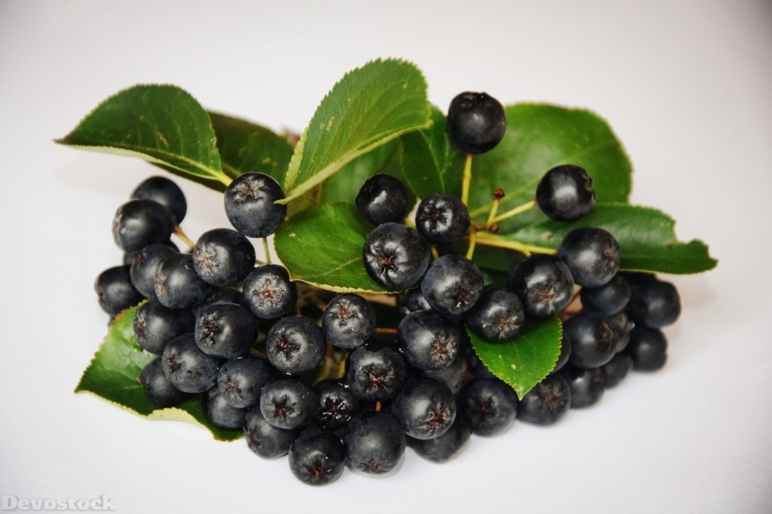Devostock Aronia Fruit Healthy Eating