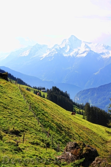 Devostock Austria Mountains Alpine Nature