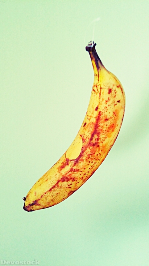 Devostock Banana Food Art Fruit