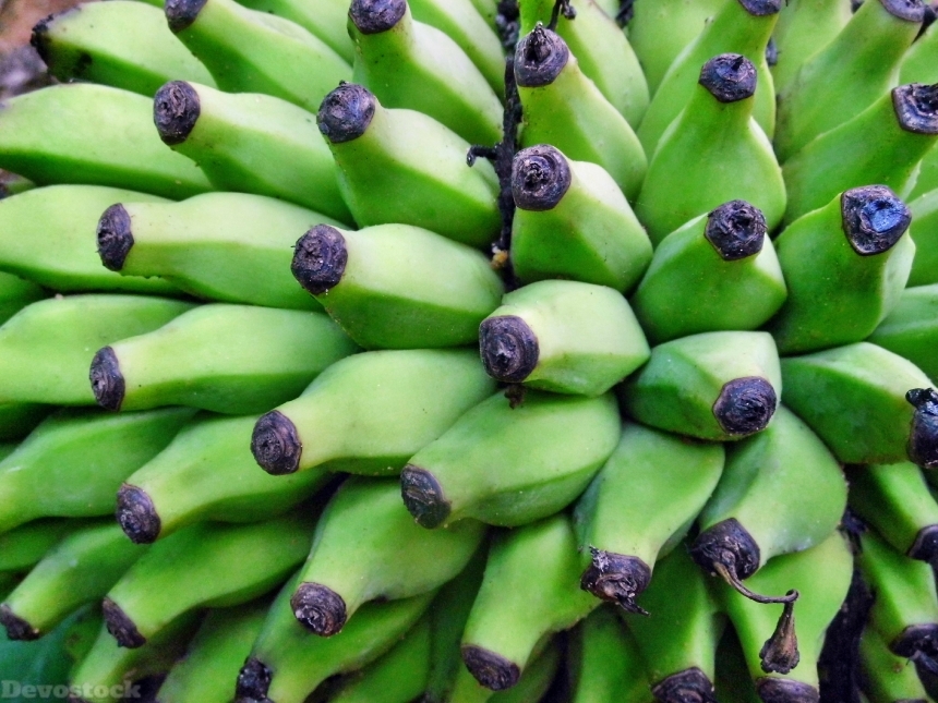 Devostock Banana Fruit Food Fresh