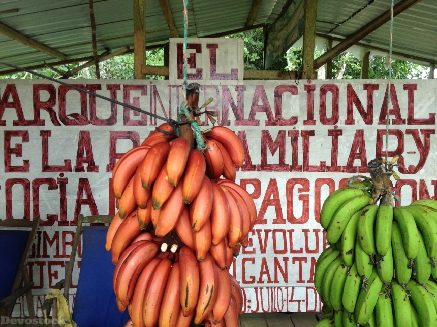 Devostock Banana Galapagos Islands Fruit