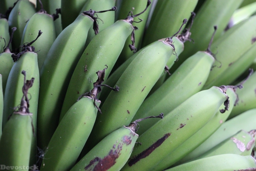 Devostock Banana Green Fruit Nature