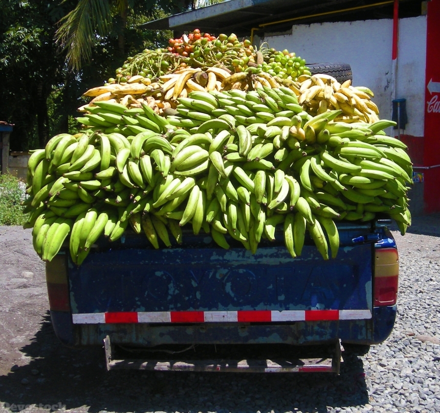 Devostock Banana Plantain Truck Panama
