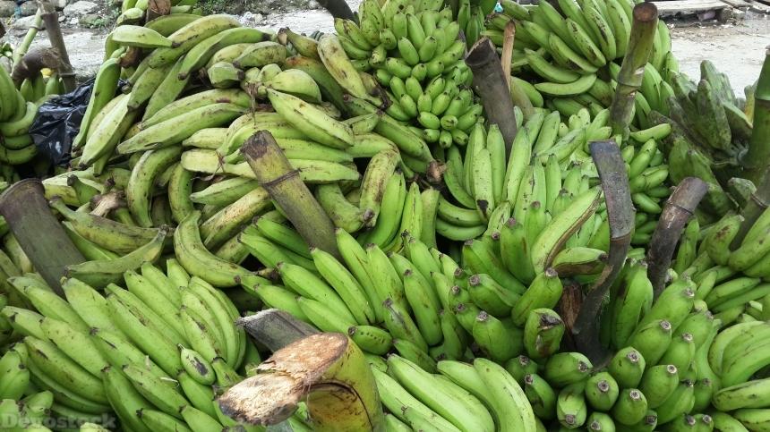 Devostock Bananas Banana Tree Green
