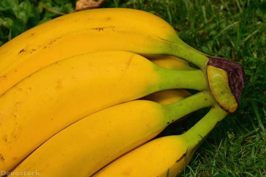 Devostock Bananas Fruits Fruit Healthy 3