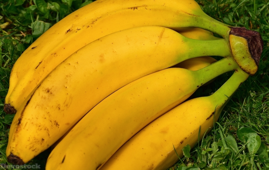 Devostock Bananas Fruits Fruit Healthy