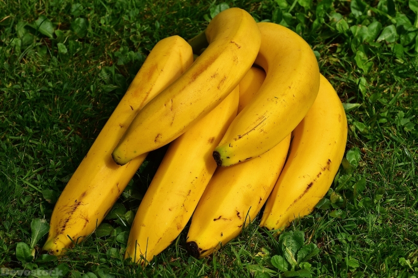 Devostock Bananas Fruits Fruit Healthy 6