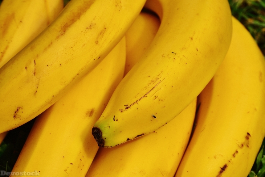 Devostock Bananas Fruits Fruit Healthy 7
