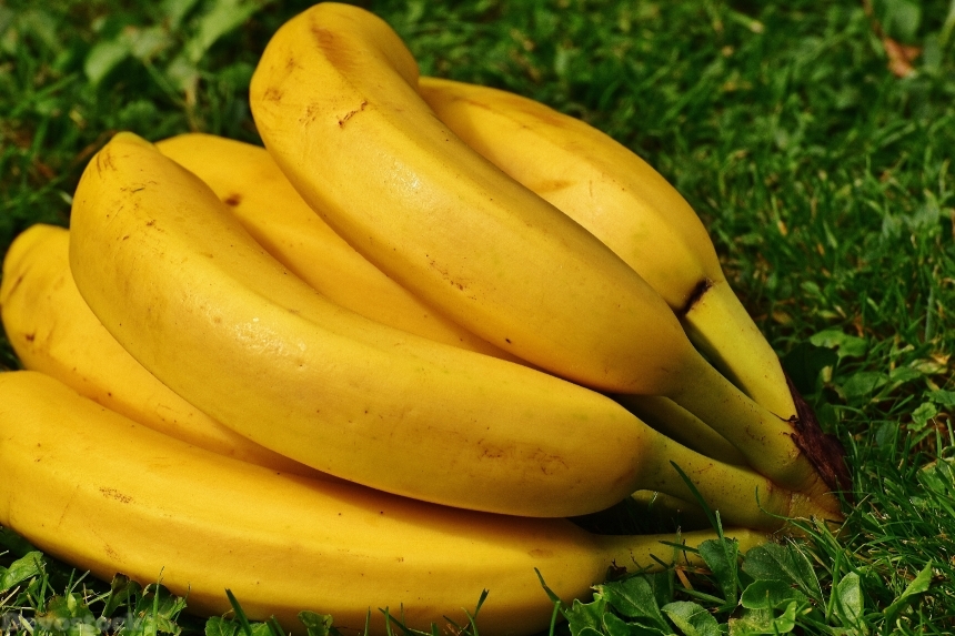 Devostock Bananas Fruits Fruit Healthy 8