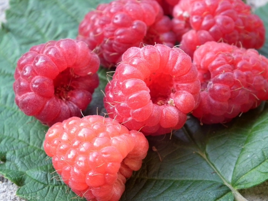Devostock Berry Raspberry Fruit Red 0