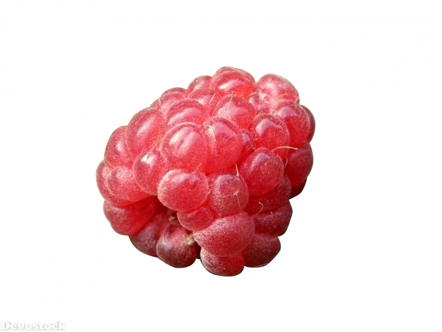 Devostock Berry Raspberry Red Fruits