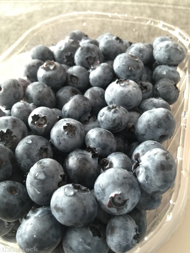 Devostock Bilberry Berries Fruit Blueberries