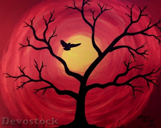 Devostock Bird Tree Sunset Nature