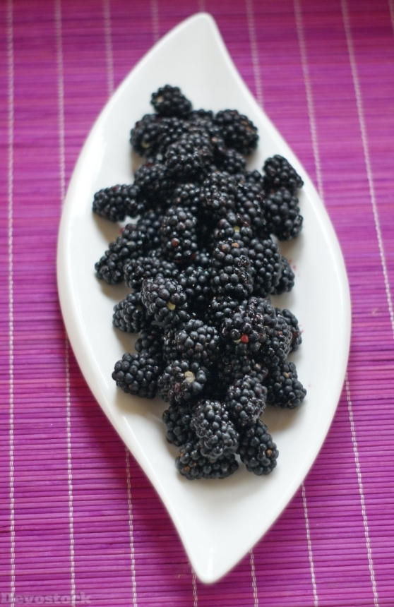 Devostock Blackberries Wild Berries Berry 2