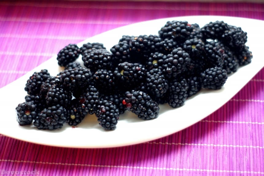 Devostock Blackberries Wild Berries Berry