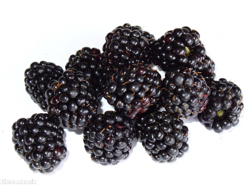 Devostock Blackberry Bramble Berry Fruit