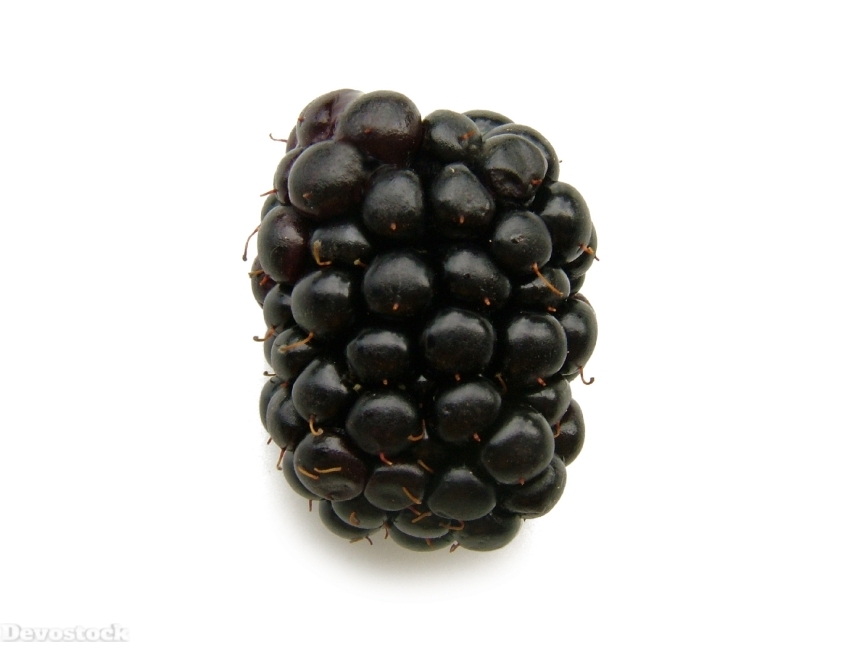Devostock Blackberry Fruit Berry Food