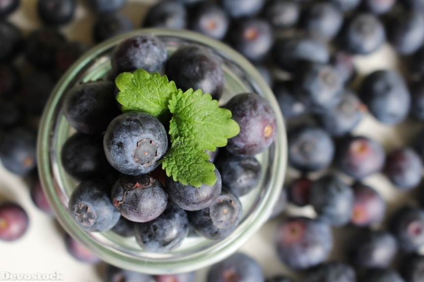 Devostock Blueberries Berries Fruit Fruits 0
