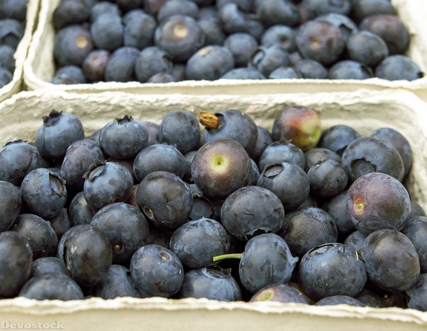 Devostock Blueberries Berries Fruit Fruits