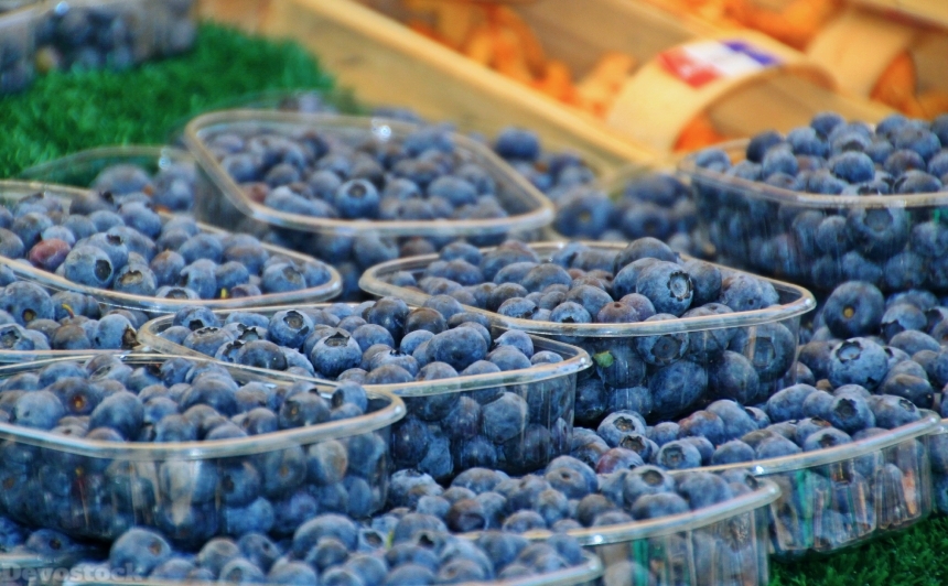 Devostock Blueberries Berries Fruits Fruit