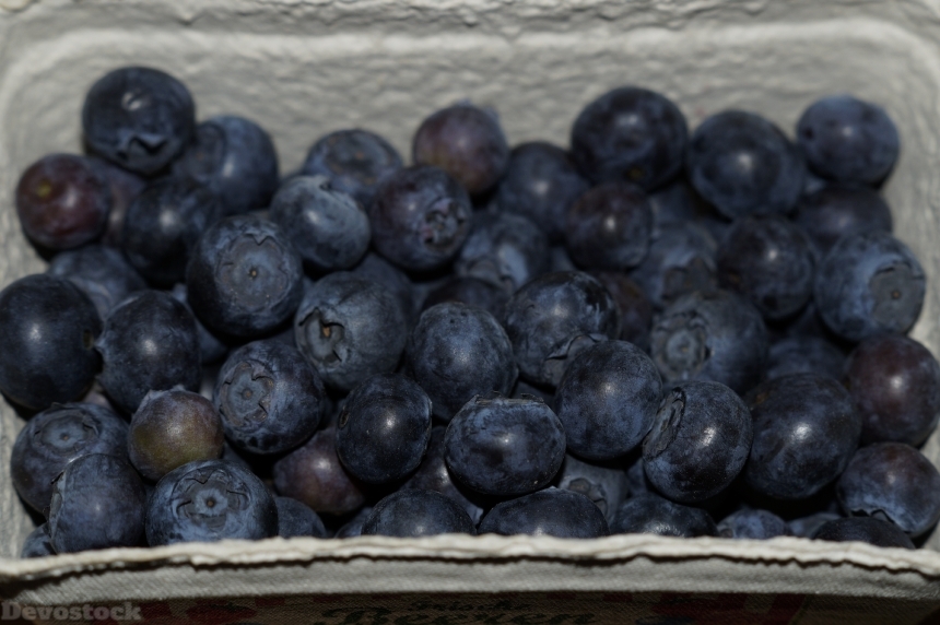 Devostock Blueberries Berries Shell Blue